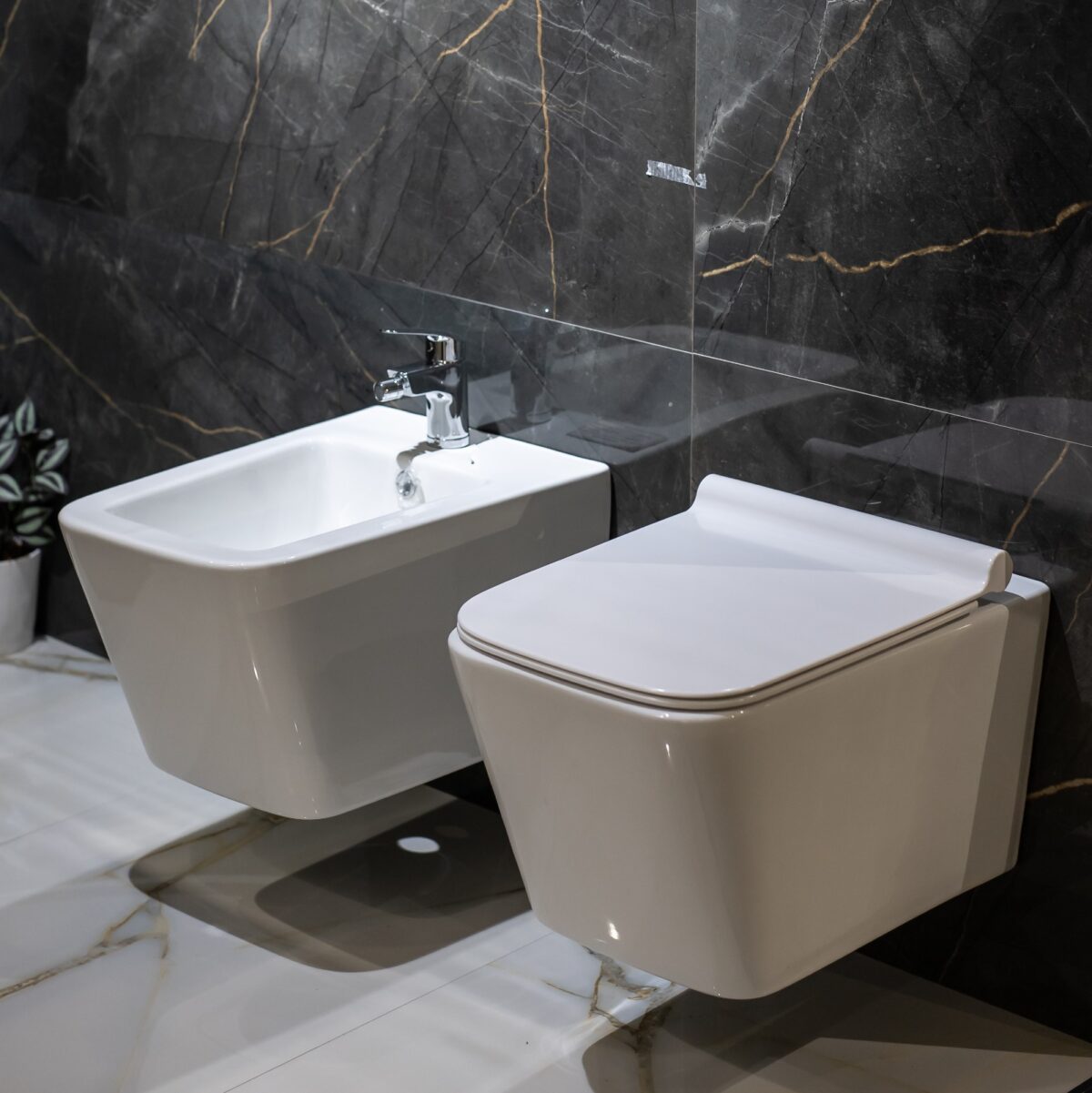 Set Wc+Bide Wall Hung - Figura 2